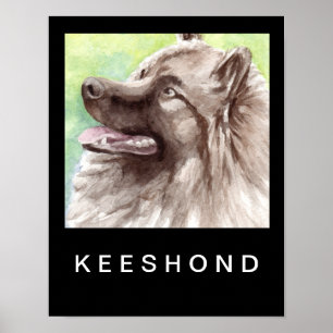 Pôster Retrato em Aquarela de Keeshond