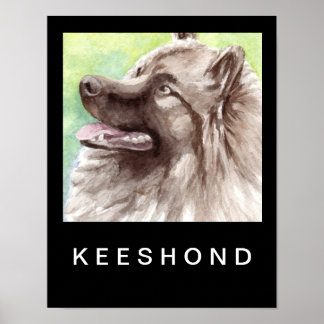 Pôster Retrato em Aquarela de Keeshond