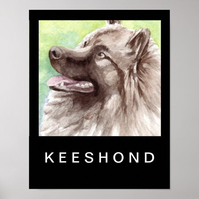 Pôster Retrato em Aquarela de Keeshond (Frente)