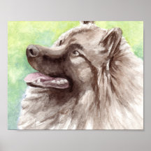 Retrato em Aquarela de Keeshond