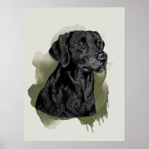Poster Retrato em aquarela de Labrador Retriever preto