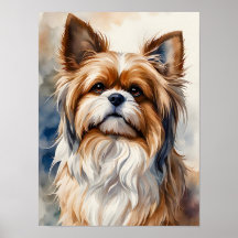 Retrato em Aquarela de um Doce Shih Tzu