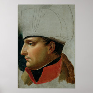 Pôster Retrato inacabado de Napoleon mim