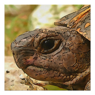 Pôster Retrato Lado A Lado De Uma Tartaruga Turca