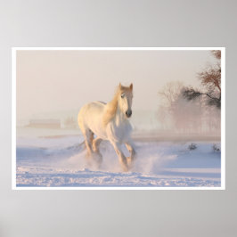 Poster Retrato Maiestoso de Cavalo Branco