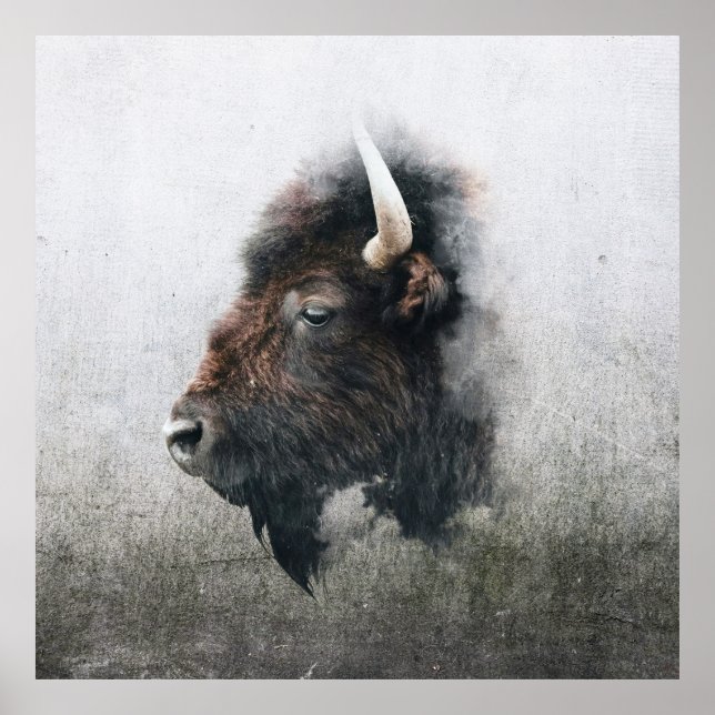 Poster Retrato Majestoso de Bisonte (Frente)