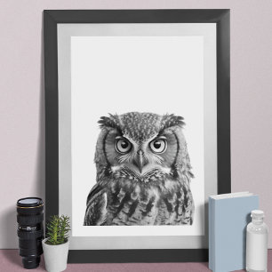 Poster Retrato moderno de Owl Woodland preto e branco 