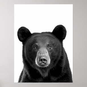 Poster Retrato Moderno Floresta do Urso Negro preto branc