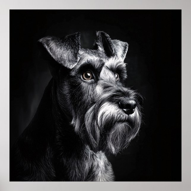 Poster Retrato Monocromático de Schnauzer (Frente)