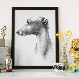 Poster Retrato para cães brancos italianos