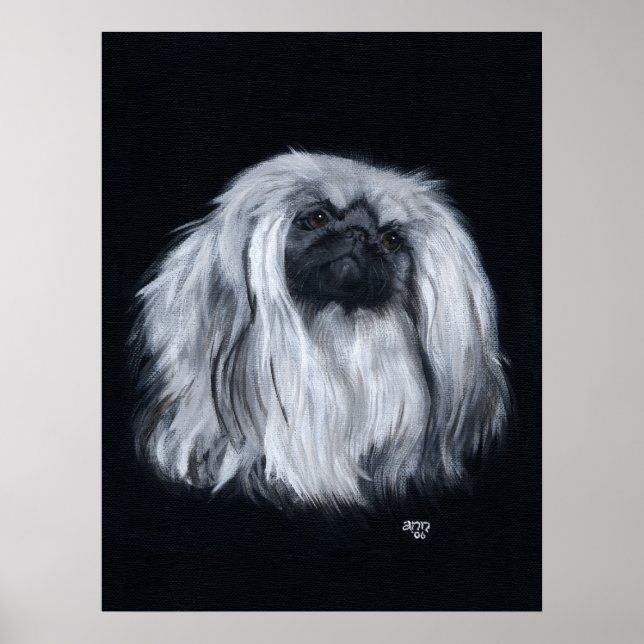 Poster Retrato Pekingês em Preto e Branco (Frente)