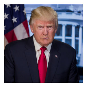 Pôster Retrato Presidencial Oficial de Donald Trump