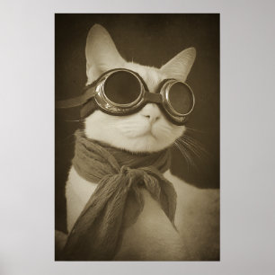 Poster Retrato Sepia de Gato Aviador Steampunk