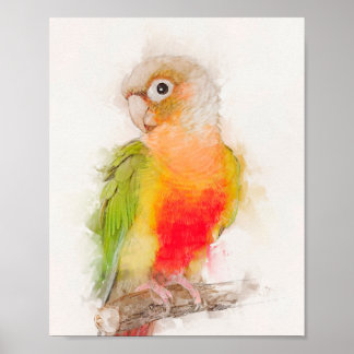 Poster Retrato Verde Cheek Conure