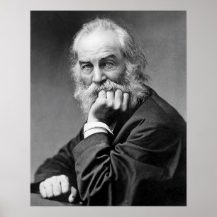 Poster Retrato Walt Whitman Essencial, 50 Anos