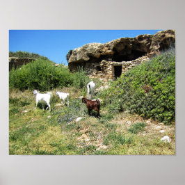 Poster Retreat de Goat