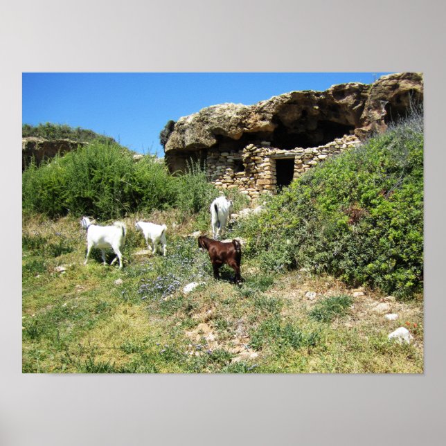 Poster Retreat de Goat (Frente)