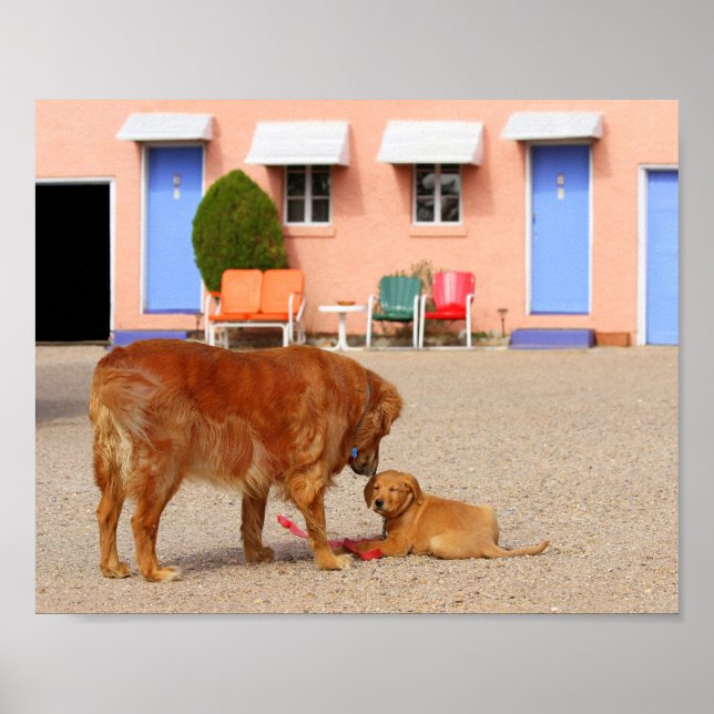 Poster Retribeadores de ouro no Motel Blue Swallow (Frente)