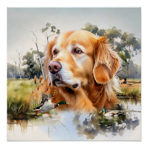 Pôster Retriever de ouro