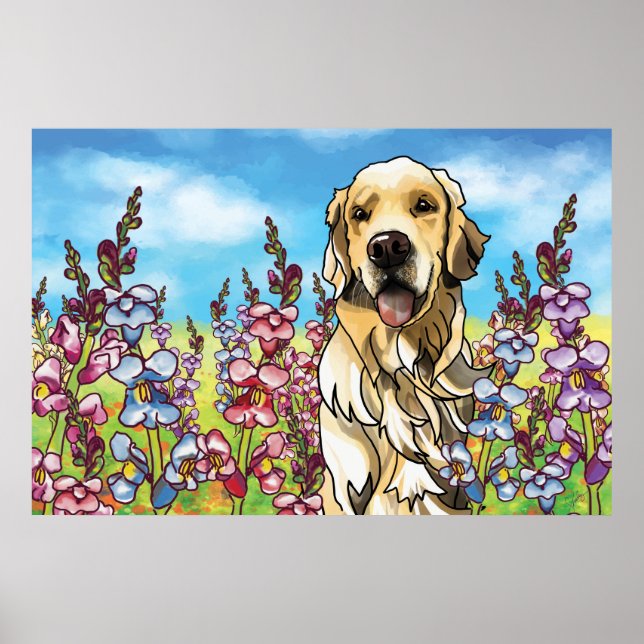 Poster Retriever de ouro em um campo de Snapdragons (Frente)