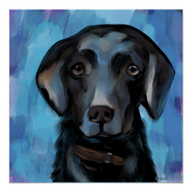 Pôster Retriever do Labrador  (Frente)