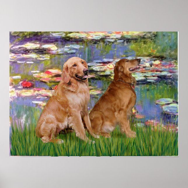 Pôster Retriever Dourado (dois) - Lírios 2 (Frente)