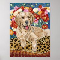 Retriever ouro Boy