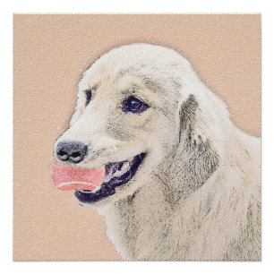 Pôster Retriever ouro com pintura de cachorro de Tênis