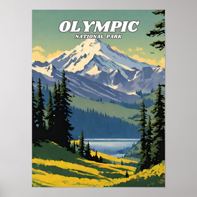 Poster Retro de ilustração do Parque Nacional da olimpiad (Frente)