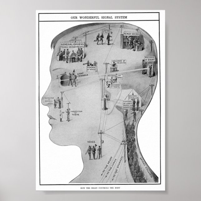 Poster Retro-educacional (Frente)