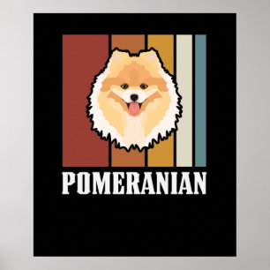 Poster Retro Pomerano Sorridente