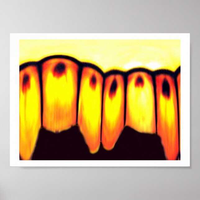 Pôster reunião (Frente)