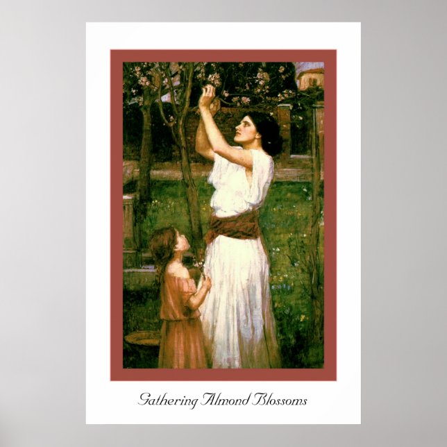 Pôster Reunindo Amêndoas (Frente)