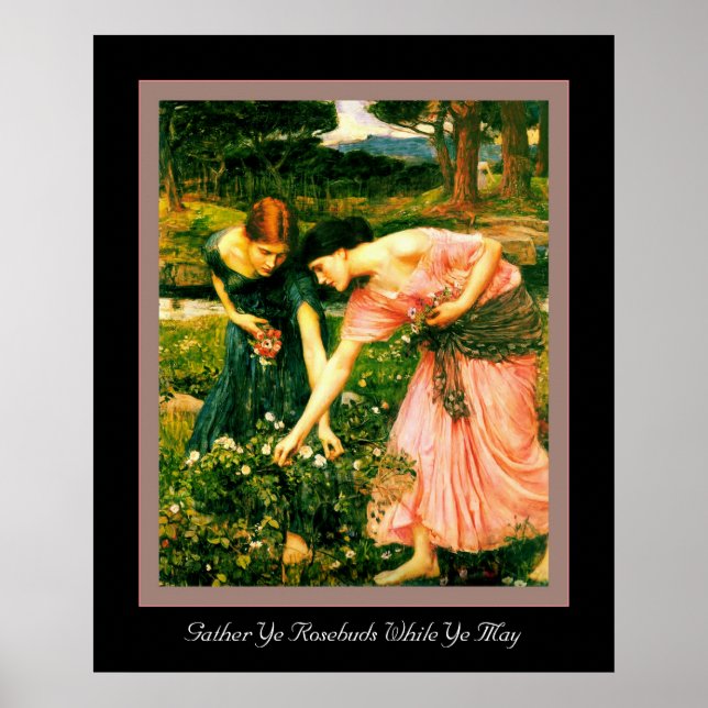 Poster Reunir Ye Rosebuds (Frente)