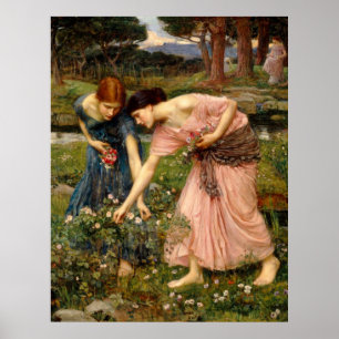 Poster Reunir Ye Rosebuds Em Maio De 1909