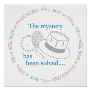 Pôster Revelação do Sexo do Bebê