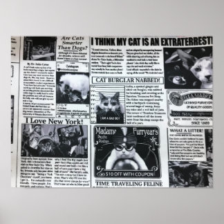 Poster Revista de Gatos