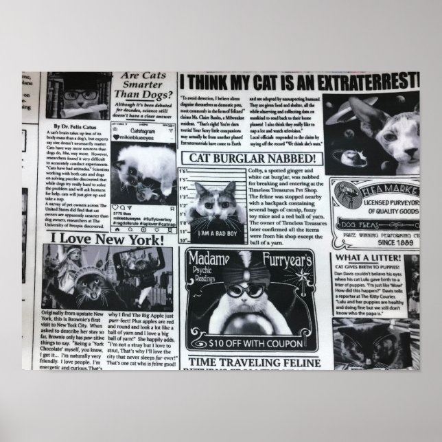 Poster Revista de Gatos (Frente)
