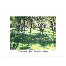 Reykjavik — Arte paisagística da Islândia por Pola