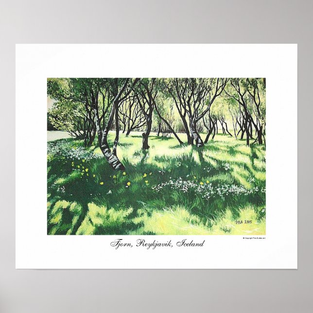Poster Reykjavik — Arte paisagística da Islândia por Pola (Frente)