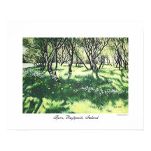 Reykjavik — Arte paisagística da Islândia por Pola