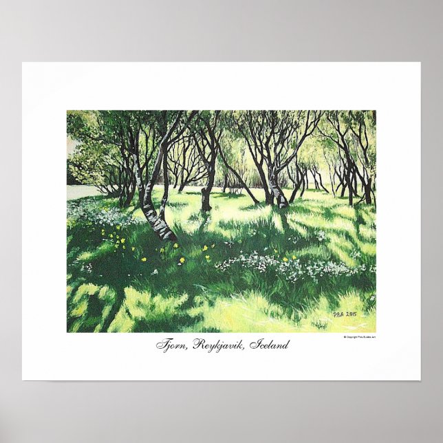 Poster Reykjavik — Arte paisagística da Islândia por Pola (Frente)