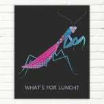 Poster Rezando Texto Personalizado da Mantis<br><div class="desc">Uma louva engraçada para amantes de insetos e insetos. Algumas fêmeas que rezam comem suas namorados. Eek! Adicione seu próprio texto para personalizar com um nome,  frase ou piada.</div>