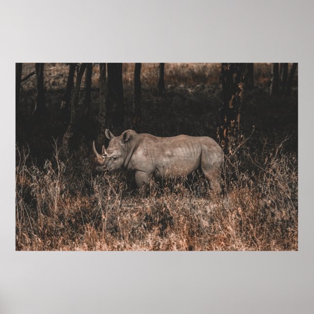 POSTER RHINO (Frente)