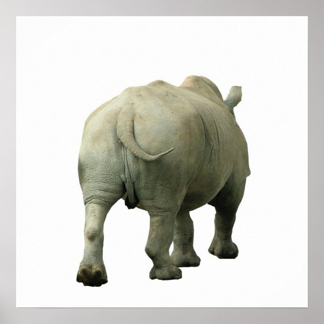 Pôster Rhino (Frente)
