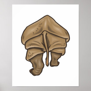 Poster rhino bumbum