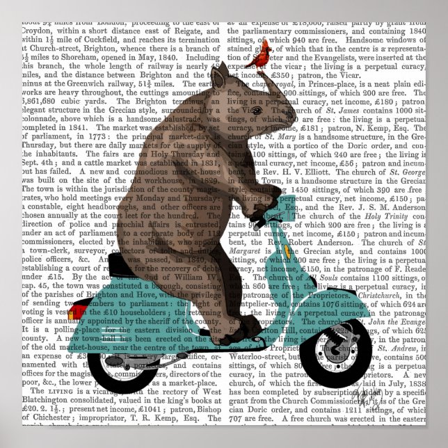 Poster Rhino em Moped (Frente)