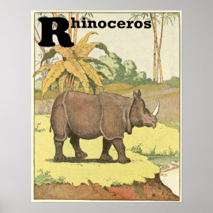 Pôster Rhinoceronte Storybook Alphabet