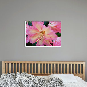 Pôster Rhododendron Bloom Grande Rosa