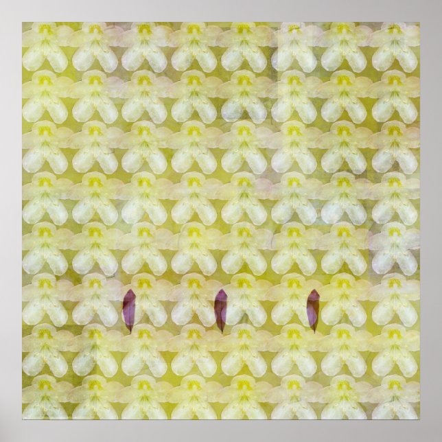 Poster Rhododendron Max (Frente)